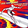 Surfing With The Alien Cover